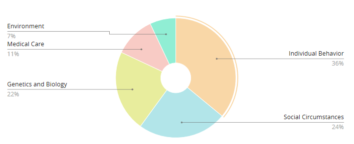 gráfico circular acerca de los determinantes de la salud